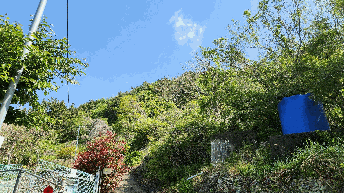경상남도 통영시 한산면 하소리 540-2 전 경매 사진 5