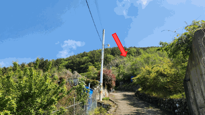 경상남도 통영시 한산면 하소리 540-2 전 경매 사진 7