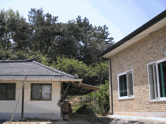 전라남도 나주시 산포면 내기리 산25-4 임야 경매 사진 37