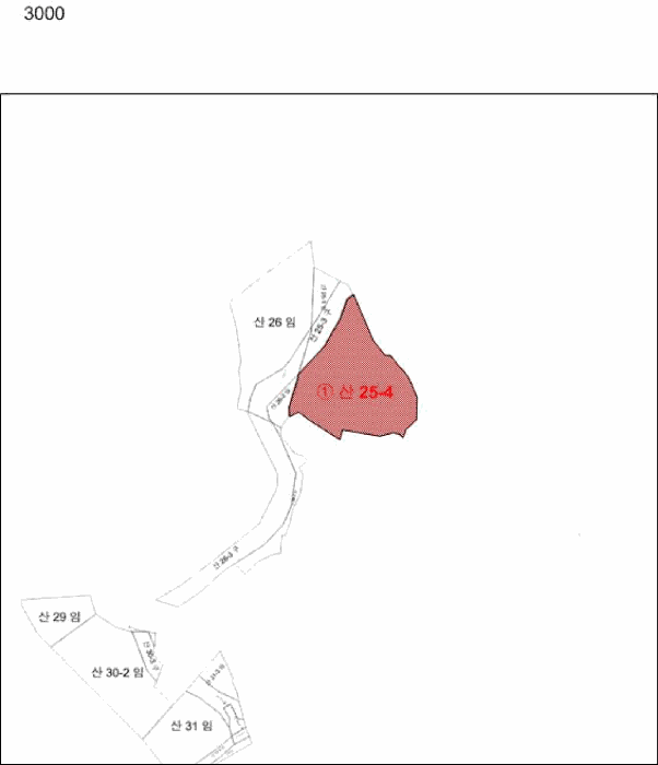 전라남도 나주시 산포면 내기리 산25-4 임야 경매 사진 42