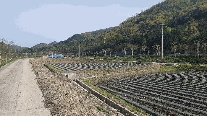전북특별자치도 순창군 쌍치면 중안리 198 답 경매 사진 2