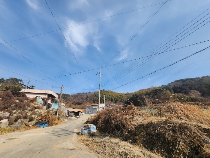 경상남도 거제시 연초면 송정리 492 임야 경매 사진 3