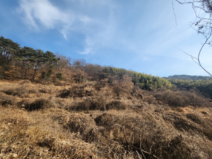 경상남도 거제시 연초면 송정리 492 임야 경매 사진 4
