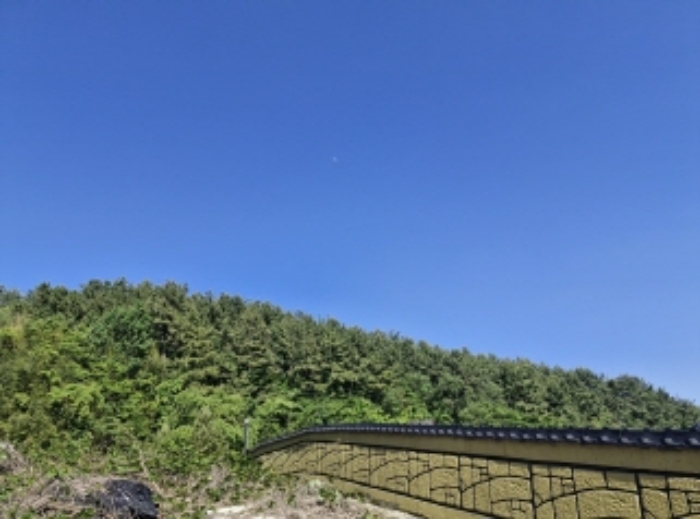 경상남도 고성군 고성읍 신월리 산9 외 1필지 임야 경매 사진 2