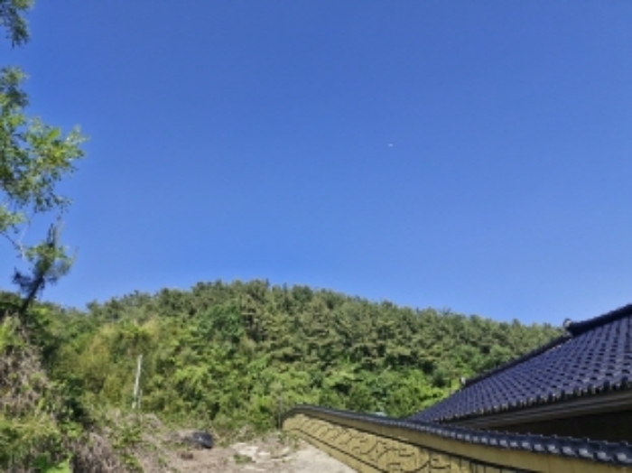 경상남도 고성군 고성읍 신월리 산9 외 1필지 임야 경매 사진 3