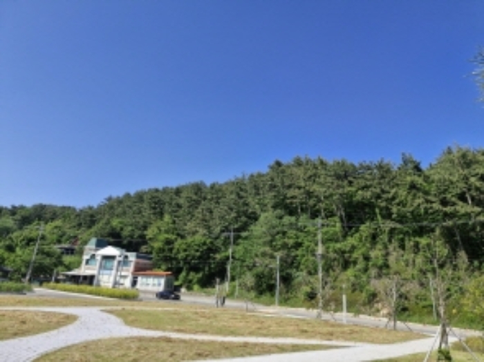 경상남도 고성군 고성읍 신월리 산9 외 1필지 임야 경매 사진 4
