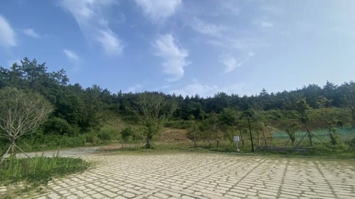전라남도 신안군 자은면 유각리 930-1 외 1필지 전 경매 사진 4