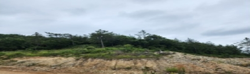전남 신안군 전