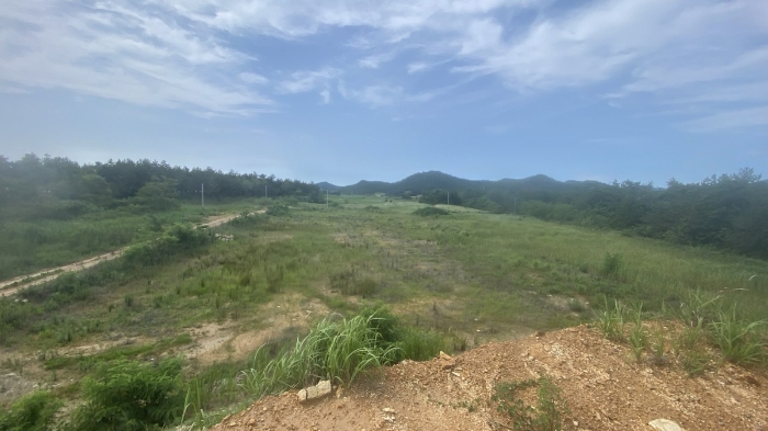 전라남도 신안군 자은면 유각리 936 외 4필지 답 경매 사진 4