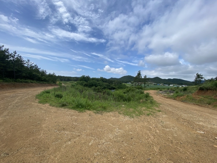 전라남도 신안군 자은면 유각리 914-1 답 경매 사진 2