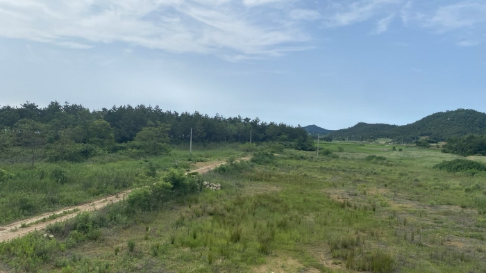 전라남도 신안군 자은면 유각리 938-2 답 경매 사진 3