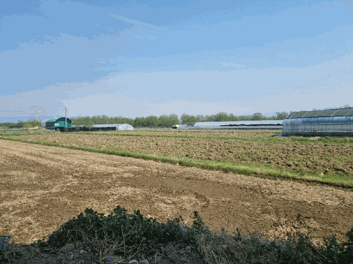 대구광역시 동구 사복동 786 답 경매 사진 15
