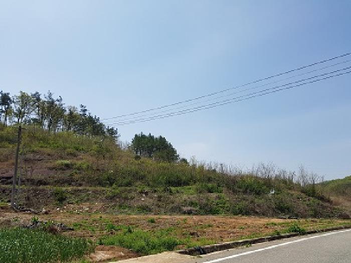 경상북도 의성군 의성읍 팔성리 산37-2 임야 경매 사진 21