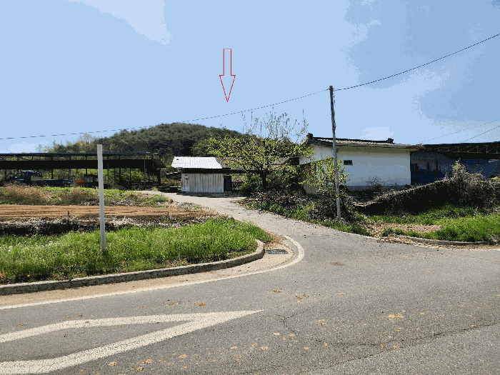 경상북도 의성군 의성읍 팔성리 산37-2 임야 경매 사진 33