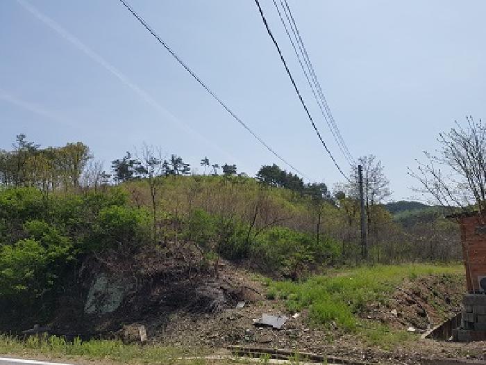경상북도 의성군 의성읍 팔성리 산37-2 임야 경매 사진 23
