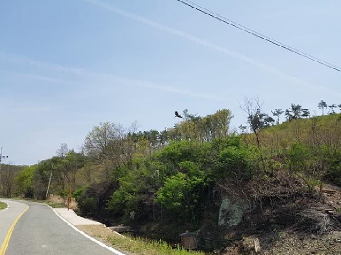 경상북도 의성군 의성읍 팔성리 산37-2 임야 경매 사진 24