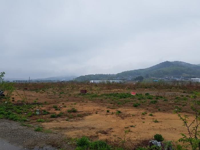 경상북도 의성군 단밀면 낙정리 806-207 임야 경매 사진 12