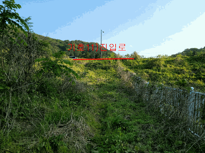 전라남도 담양군 담양읍 학동리 707 외 12필지 대지 경매 사진 20