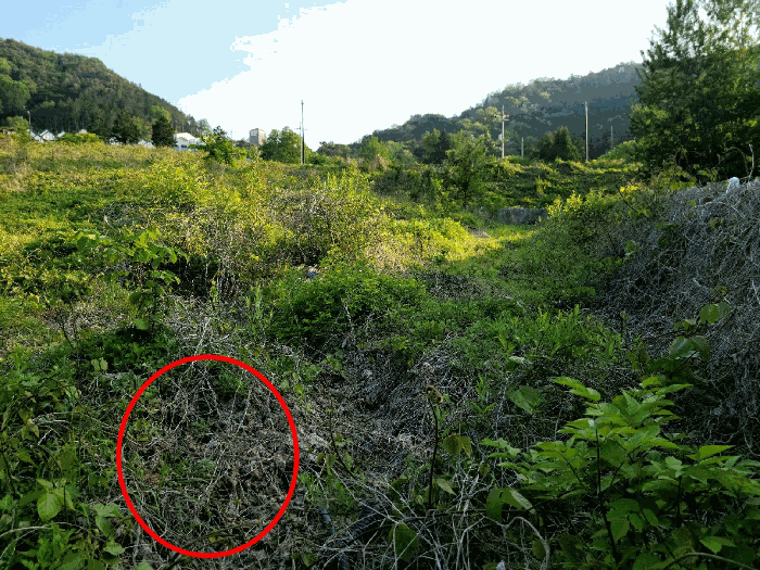 전라남도 담양군 담양읍 학동리 707 외 12필지 대지 경매 사진 23