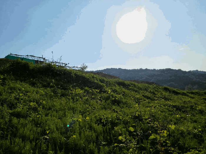 전라남도 담양군 담양읍 학동리 707 외 12필지 대지 경매 사진 31