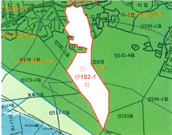 전라남도 장흥군 대덕읍 신리 산182-1 임야 경매 사진 14