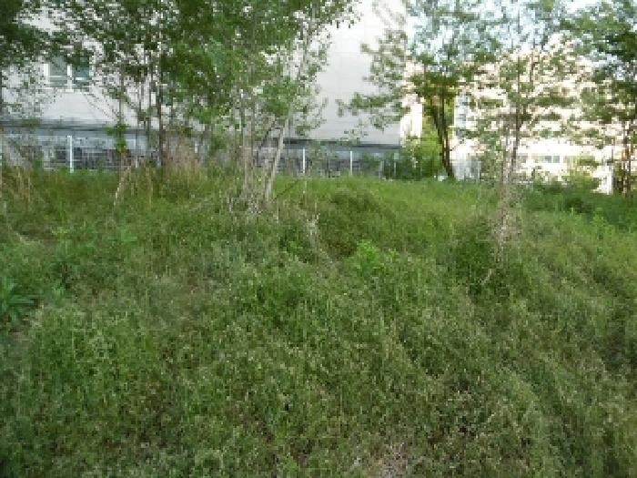 전북특별자치도 전주시 완산구 중화산동2가 210 외 21필지 대지 경매 사진 1