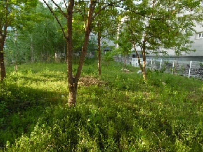 전북특별자치도 전주시 완산구 중화산동2가 210 외 21필지 대지 경매 사진 22