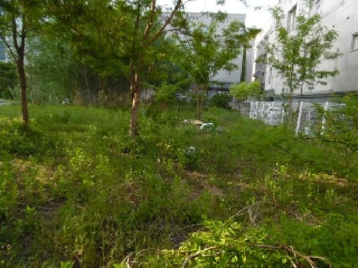 전북특별자치도 전주시 완산구 중화산동2가 210 외 21필지 대지 경매 사진 23