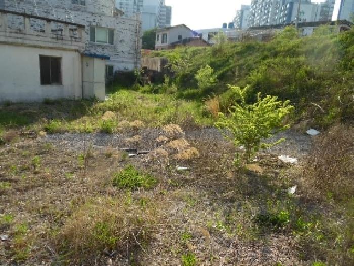 전북특별자치도 전주시 완산구 중화산동2가 210 외 21필지 대지 경매 사진 34