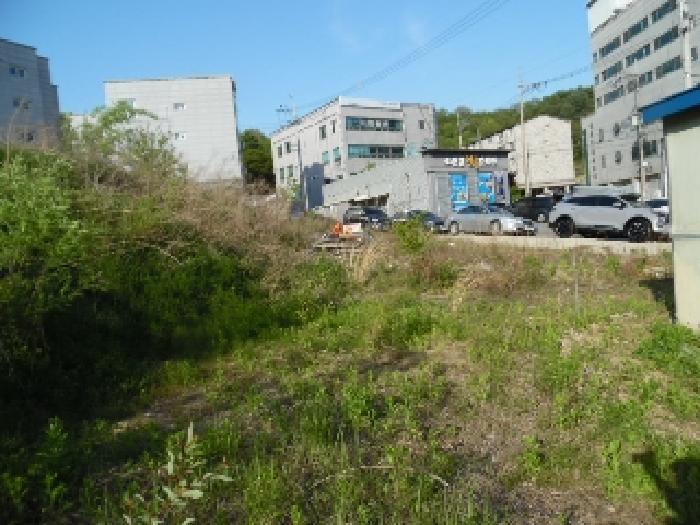 전북특별자치도 전주시 완산구 중화산동2가 210 외 21필지 대지 경매 사진 36