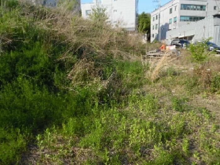 전북특별자치도 전주시 완산구 중화산동2가 210 외 21필지 대지 경매 사진 37