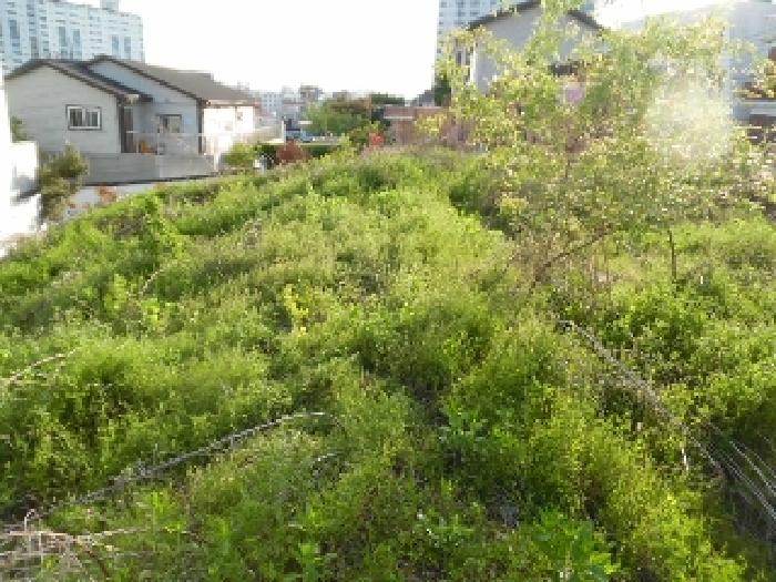 전북특별자치도 전주시 완산구 중화산동2가 210 외 21필지 대지 경매 사진 49
