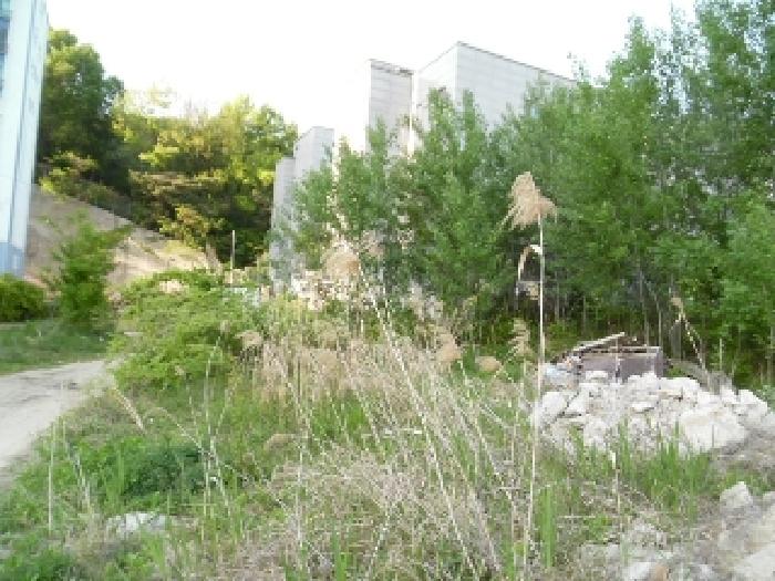 전북특별자치도 전주시 완산구 중화산동2가 210 외 21필지 대지 경매 사진 54