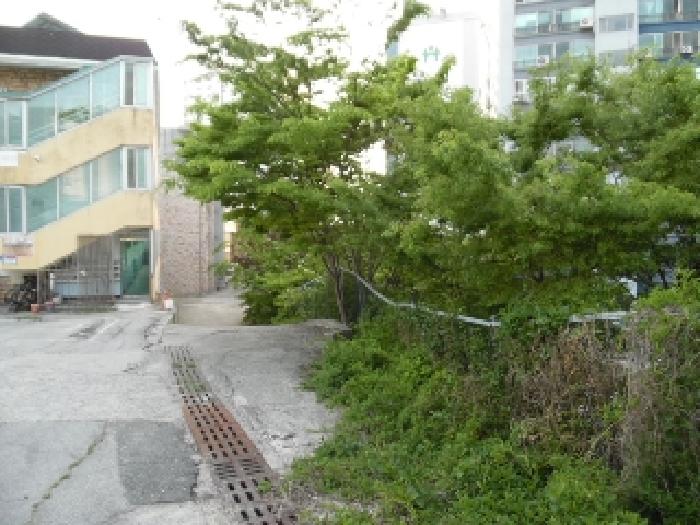 전북특별자치도 전주시 완산구 중화산동2가 210 외 21필지 대지 경매 사진 58