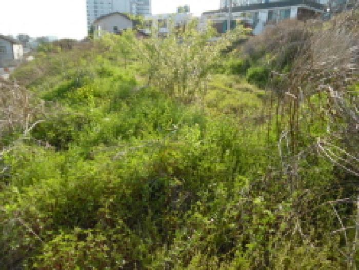 전북특별자치도 전주시 완산구 중화산동2가 210 외 21필지 대지 경매 사진 7