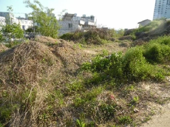 전북특별자치도 전주시 완산구 중화산동2가 210 외 21필지 대지 경매 사진 63
