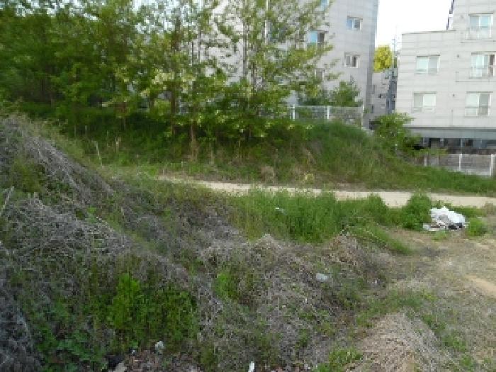 전북특별자치도 전주시 완산구 중화산동2가 210 외 21필지 대지 경매 사진 71