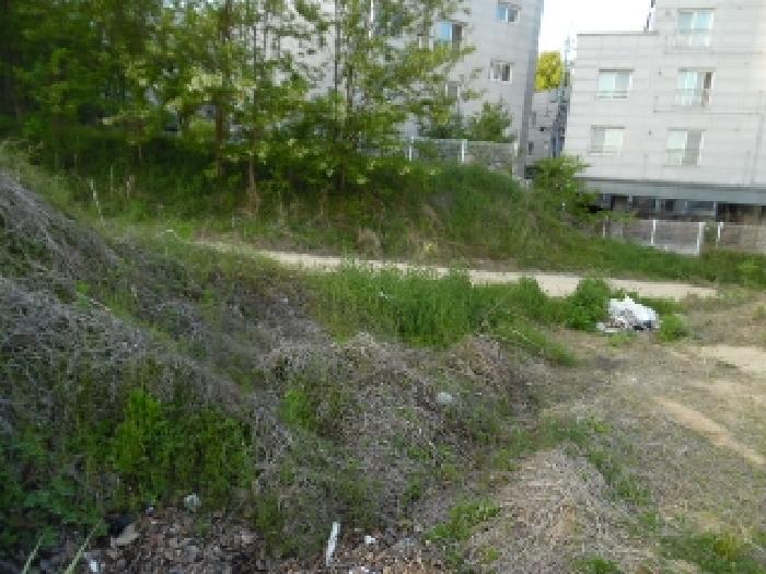 전북특별자치도 전주시 완산구 중화산동2가 210 외 21필지 대지 경매 사진 72