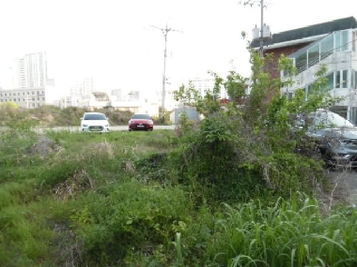 전북특별자치도 전주시 완산구 중화산동2가 210 외 21필지 대지 경매 사진 75