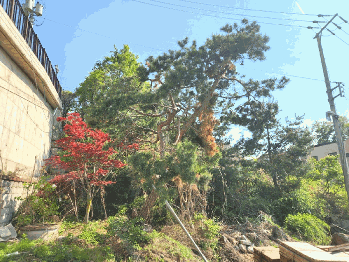 경기도 광주시 신현동 304 외 1필지 대지 경매 사진 13