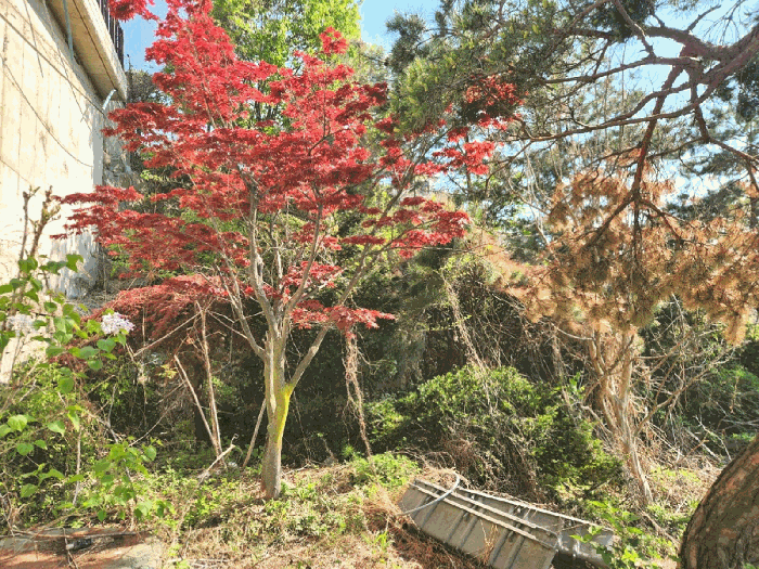경기도 광주시 신현동 304 외 1필지 대지 경매 사진 9