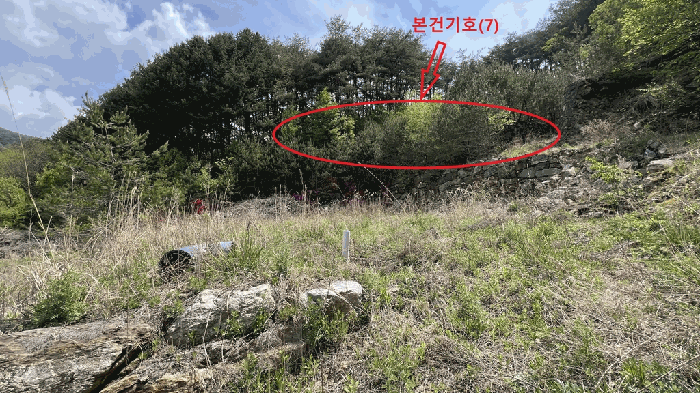 강원특별자치도 영월군 무릉도원면 법흥리 636 외 6필지 전 경매 사진 26