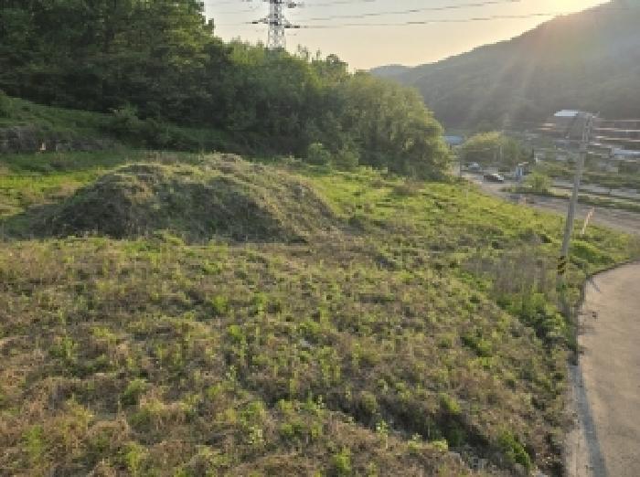 충청북도 청주시 상당구 월오동 195 외 5필지 전 경매 사진 4