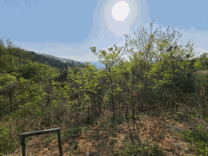충청북도 청주시 상당구 남일면 송암리 산77-33 외 3필지 임야 경매 사진 3
