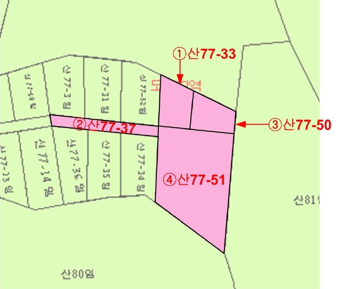 충청북도 청주시 상당구 남일면 송암리 산77-33 외 3필지 임야 경매 사진 5