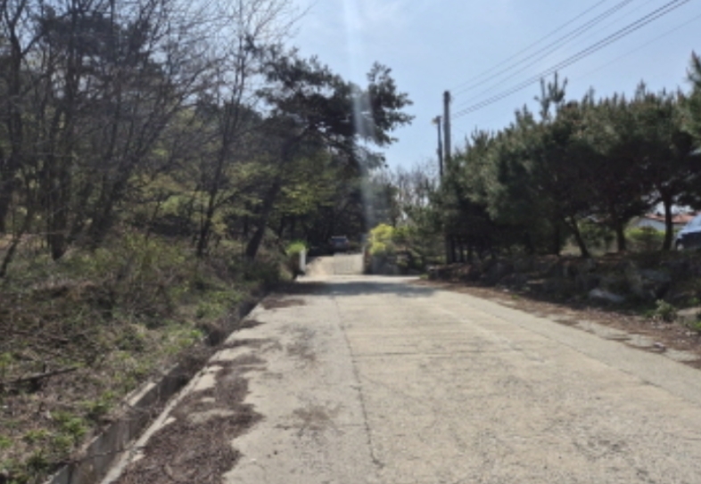 세종특별자치시 장군면 봉안리 269 외 5필지 자동차관련시설 경매 사진 30
