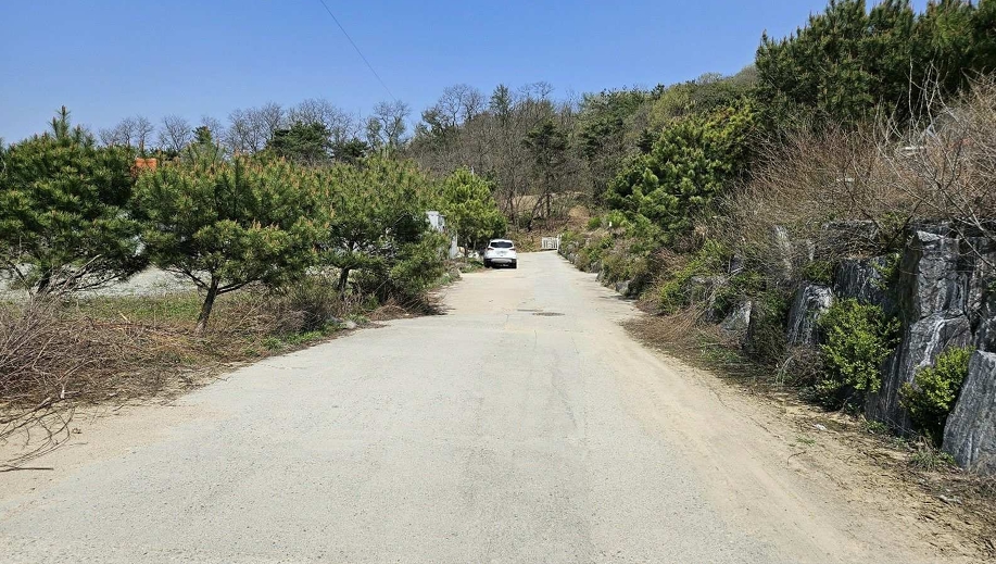 세종특별자치시 장군면 봉안리 269 외 5필지 자동차관련시설 경매 사진 10