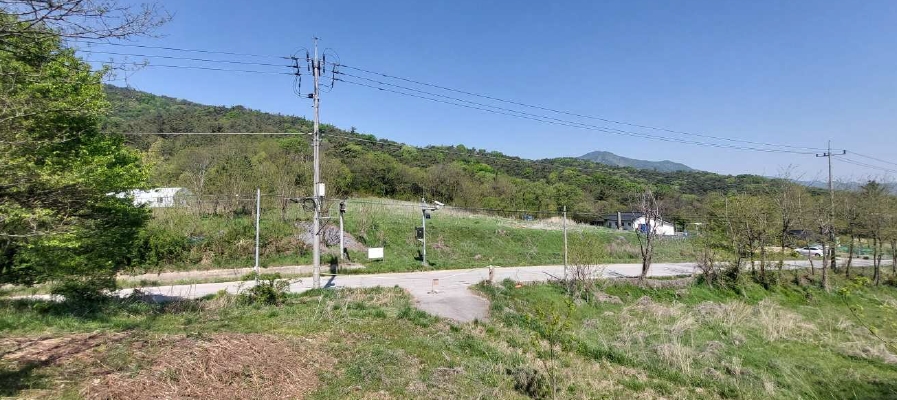 충청남도 예산군 덕산면 둔리 산36-1 임야 경매 사진 1