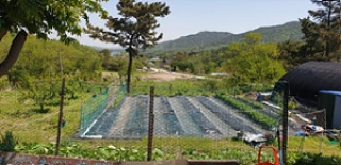 충청남도 예산군 덕산면 둔리 산36-1 임야 경매 사진 16