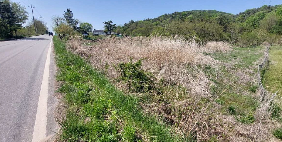 충청남도 예산군 덕산면 둔리 산36-1 임야 경매 사진 4